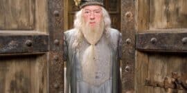 Professor Albus Dumbledore standing in front of wooden doors wearing a hat and robes