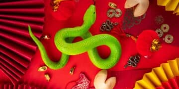 Green snake surrounded by traditional Chinese decorations including lanterns, coins, fortune cookies, and red and yellow folded paper fans