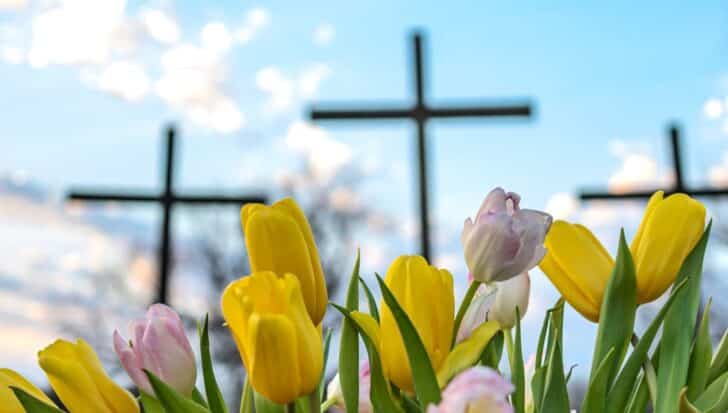 Yellow and pink tulips in foreground with three crosses in the background under a blue sky
