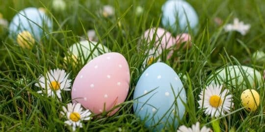 Colorful Easter eggs with polka dots nestled in grass among daisies