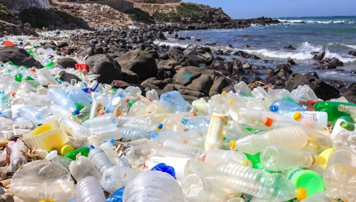 Plastic bottles and debris scattered across a rocky beach, highlighting pollution concerns