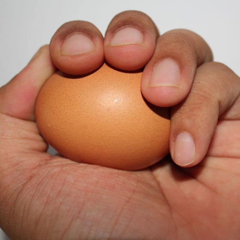 A hand holding a brown egg