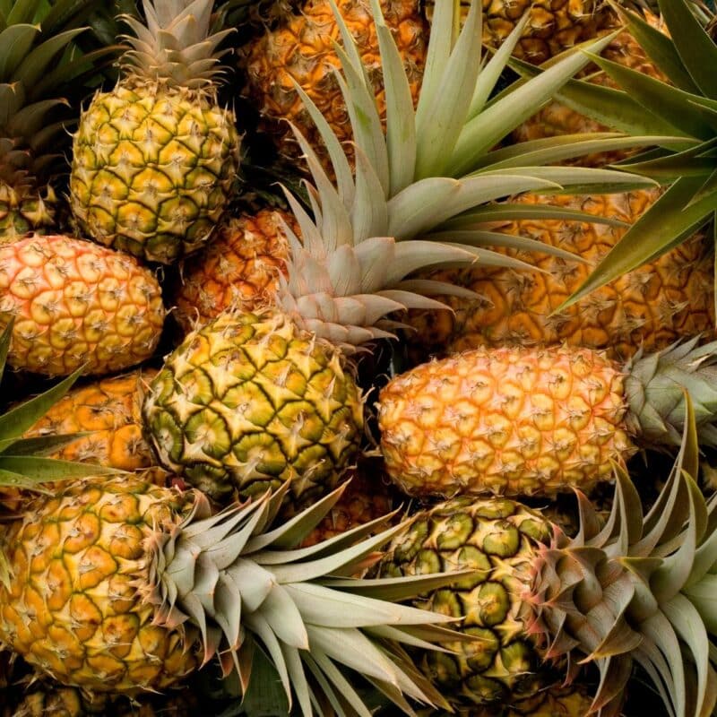 A collection of fresh pineapples with green spiky leaves