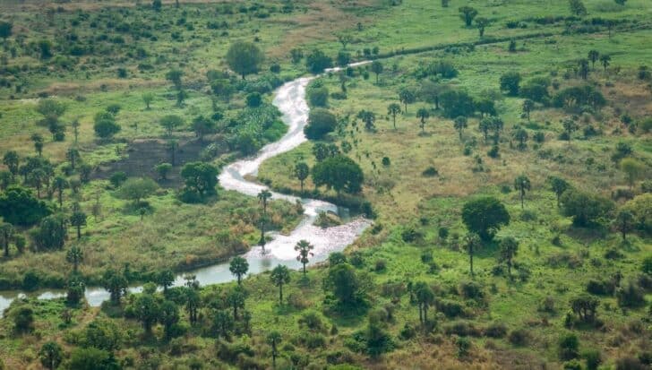 Aerial view of a lush green landscape with a winding river running through it
