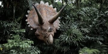 Triceratops sculpture surrounded by lush greenery