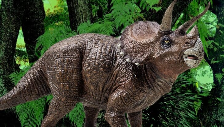 Triceratops with a textured brown body and prominent horns standing in a lush green forest