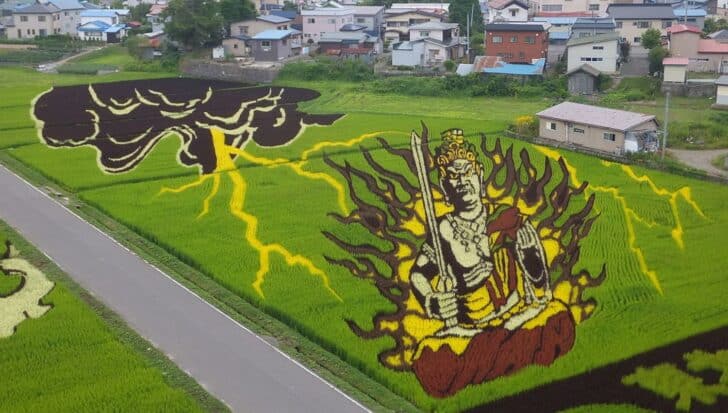 Intricate art in rice fields depicting a large figure with a sword, flames surrounding it, and a stylized cloud with lightning, with houses in the background