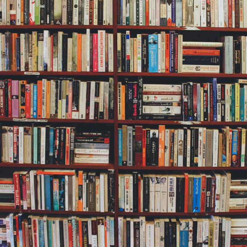 Numerous books of varying sizes and colors arranged on a wooden bookshelf