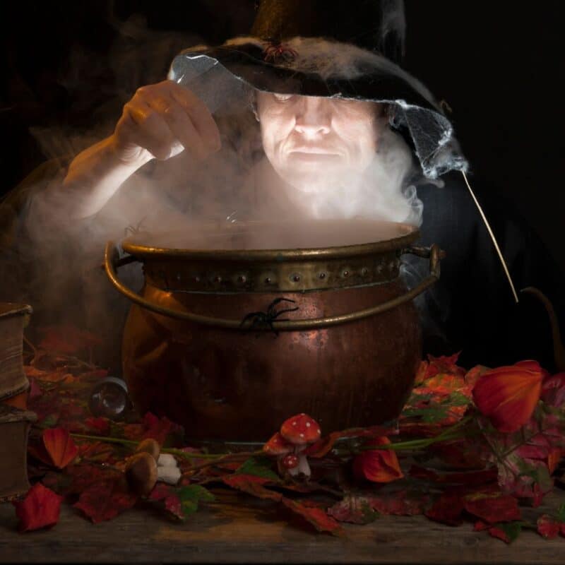 A person in a dark hat stirs a smoking cauldron adorned with spider webs
