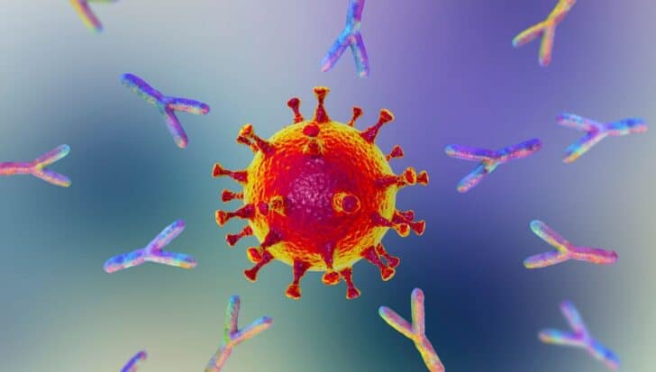 a virus surrounded by antibodies