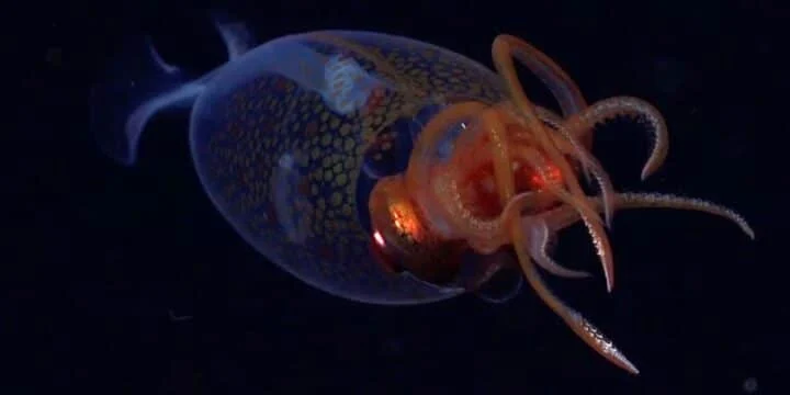 OTD in 2025: For the first time