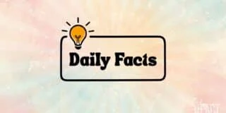 A light bulb icon above the words Daily Facts on a colorful pastel background