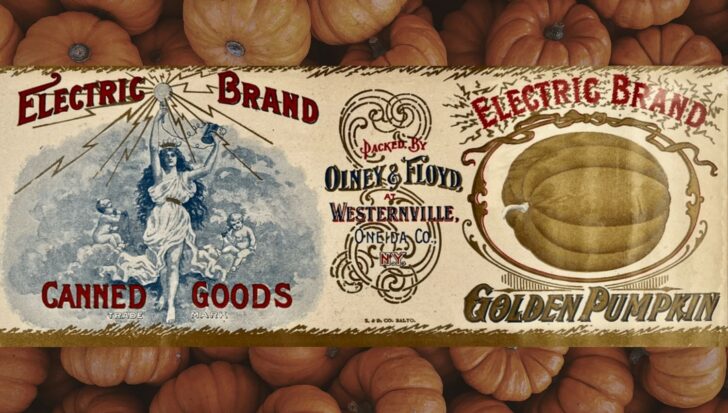 Vintage Electric Brand canned pumpkin label featuring a woman holding a light bulb surrounded by cherubs, with text about Olney & Floyd in Westernville, NY, and a drawing of a pumpkin set against a background of real pumpkins